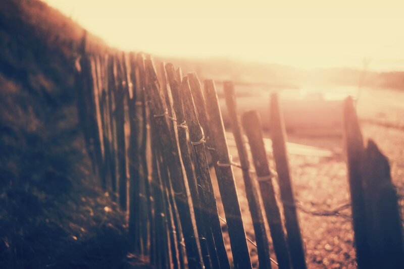 Wooden fence at sunset