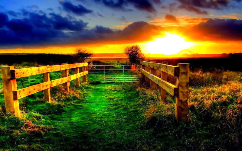 Wooden Fence at Sunset — Green, Dramatic