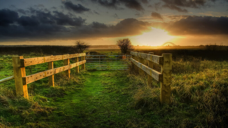 Wooden Fence at Sunset — Green