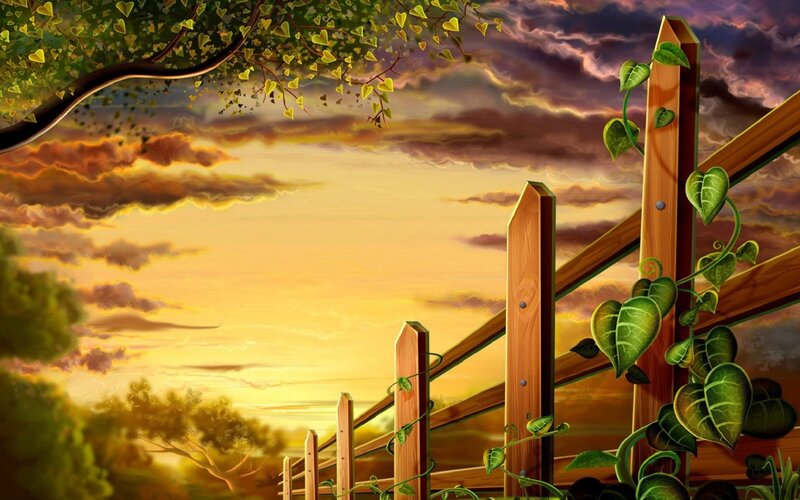 Wooden Fence at Sunset — Yellow