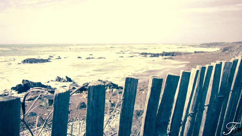 Wooden fence at the beach
