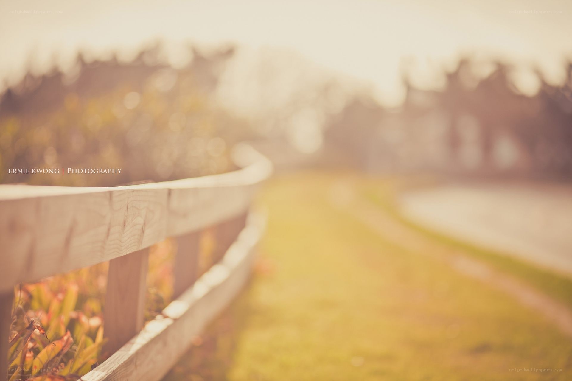 Wooden fence by a path