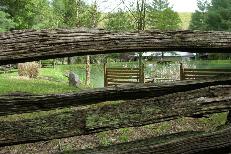 Wooden fence by a pond