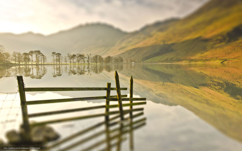 Wooden Fence by Lake — Green