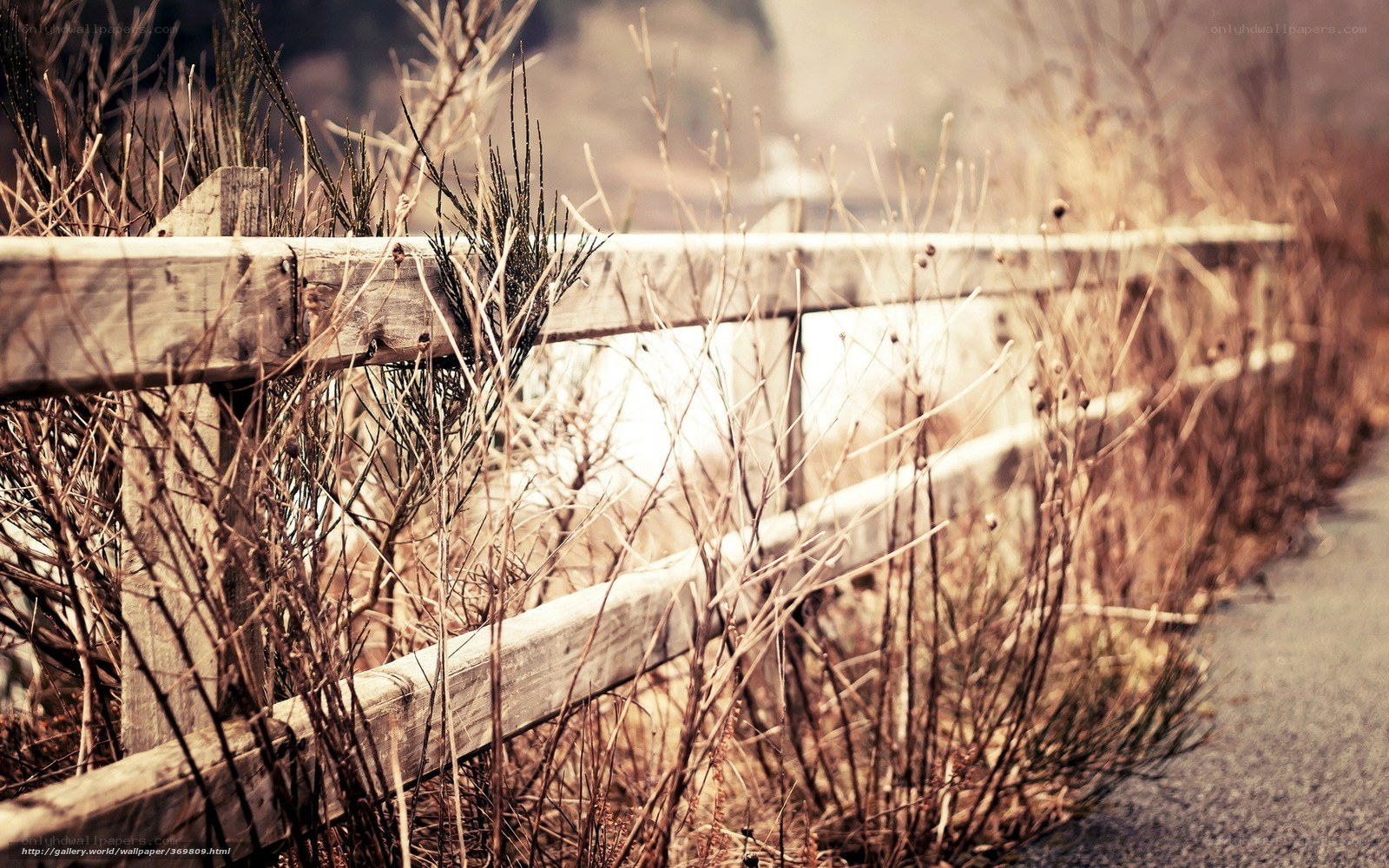 Wooden fence by path