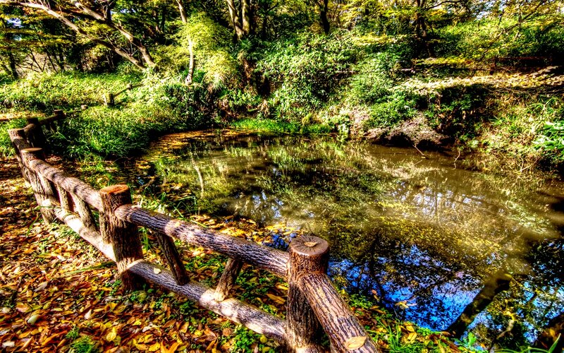 Wooden Fence by Pond