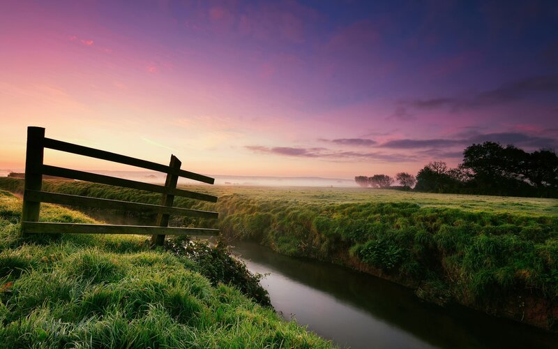 Wooden Fence by River — Purple