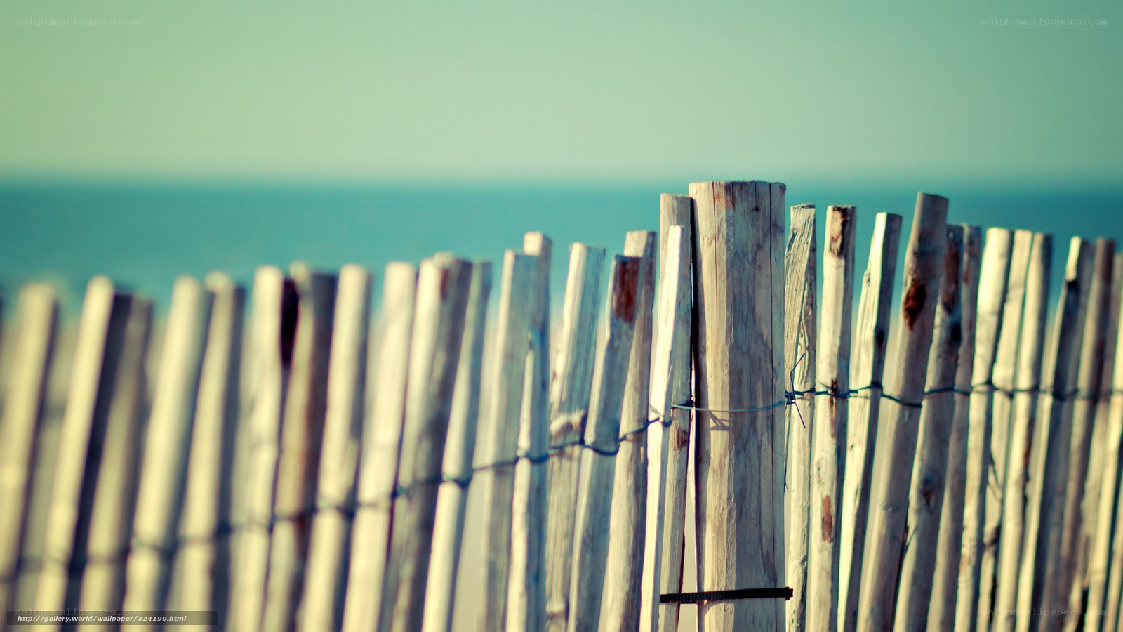 Wooden fence by the sea