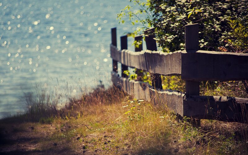 Wooden fence by the water