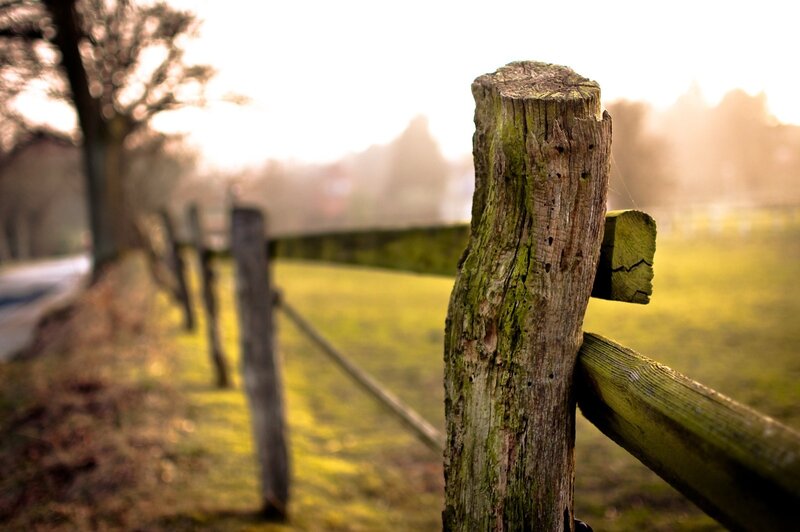wooden fence in a field