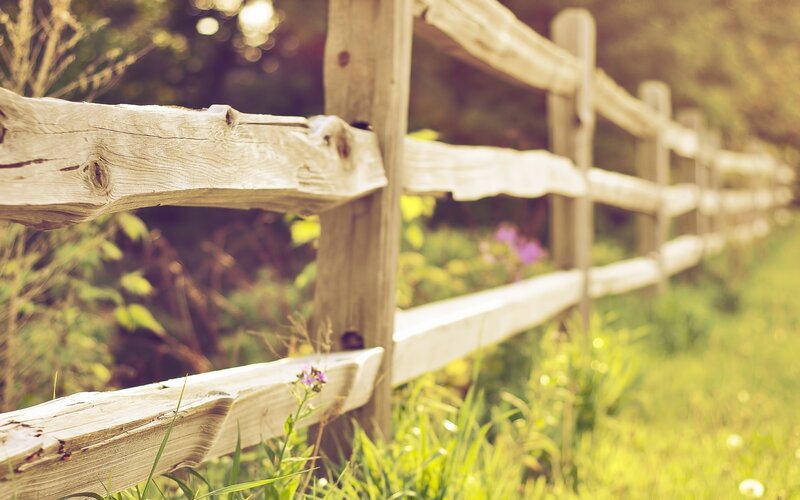wooden fence in a field