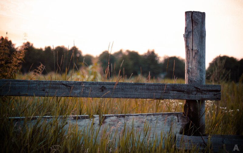 Wooden fence in a field at sunset