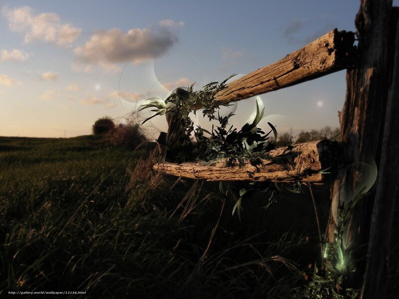 Wooden fence in a field