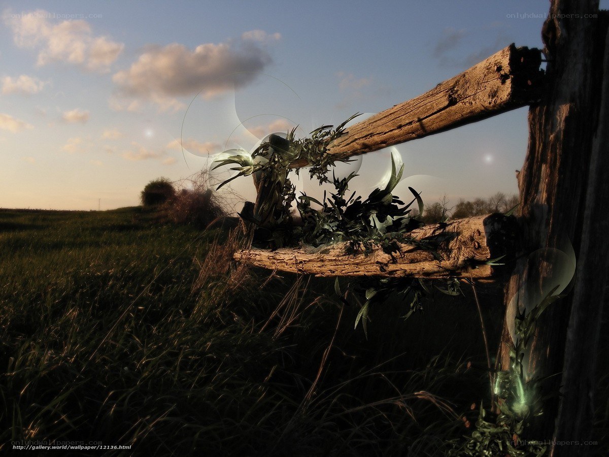 Wooden fence in a field