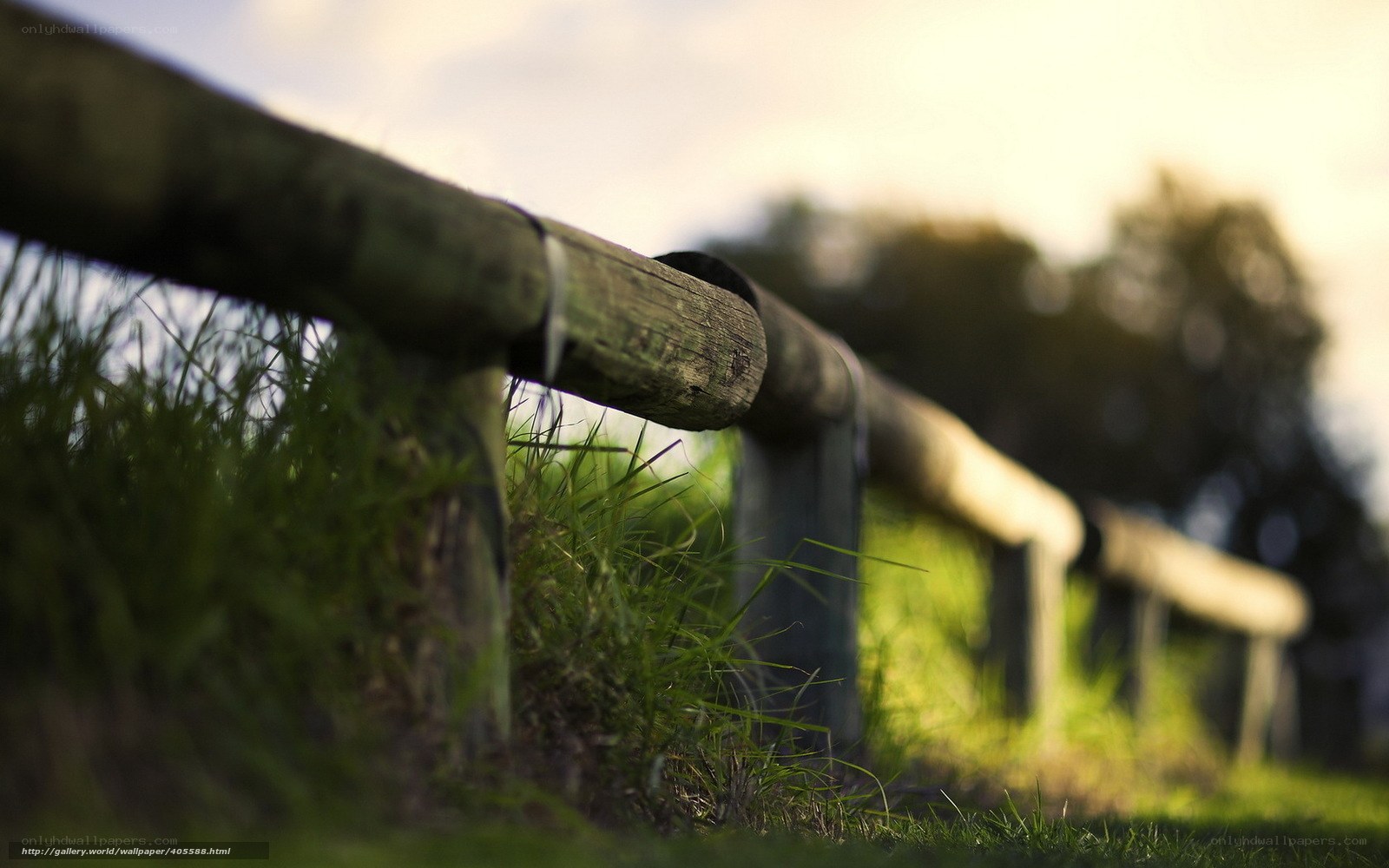 Wooden fence in a grassy field