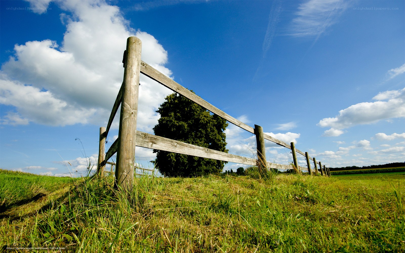 Wooden fence in a green field