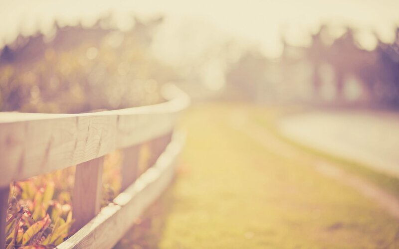 Wooden fence in a park