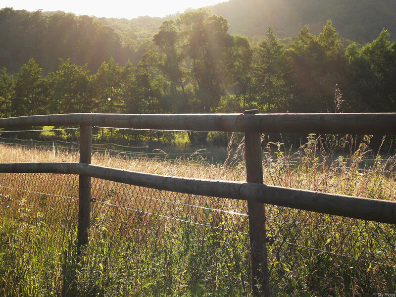 Wooden fence in a sunlit field