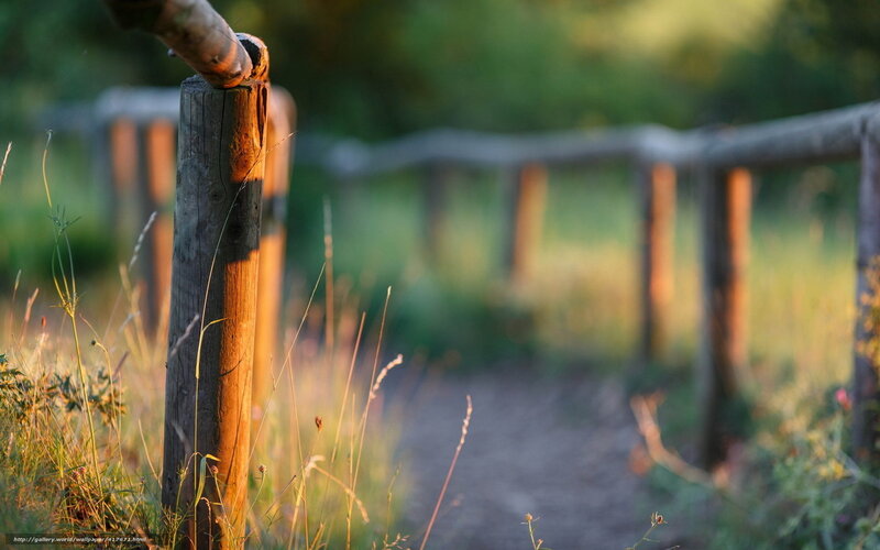 Wooden fence in a sunlit field