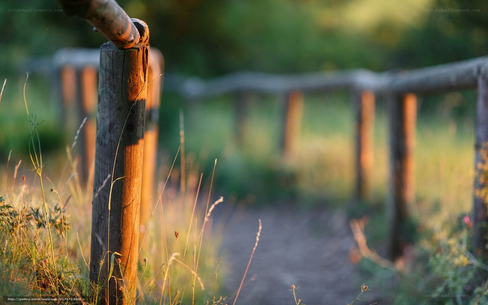 Wooden fence in a sunlit field