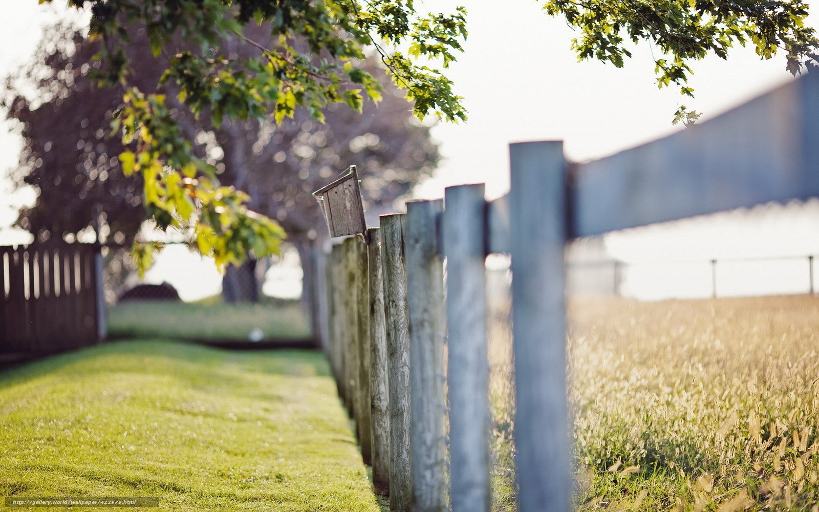 Wooden fence in a sunny field