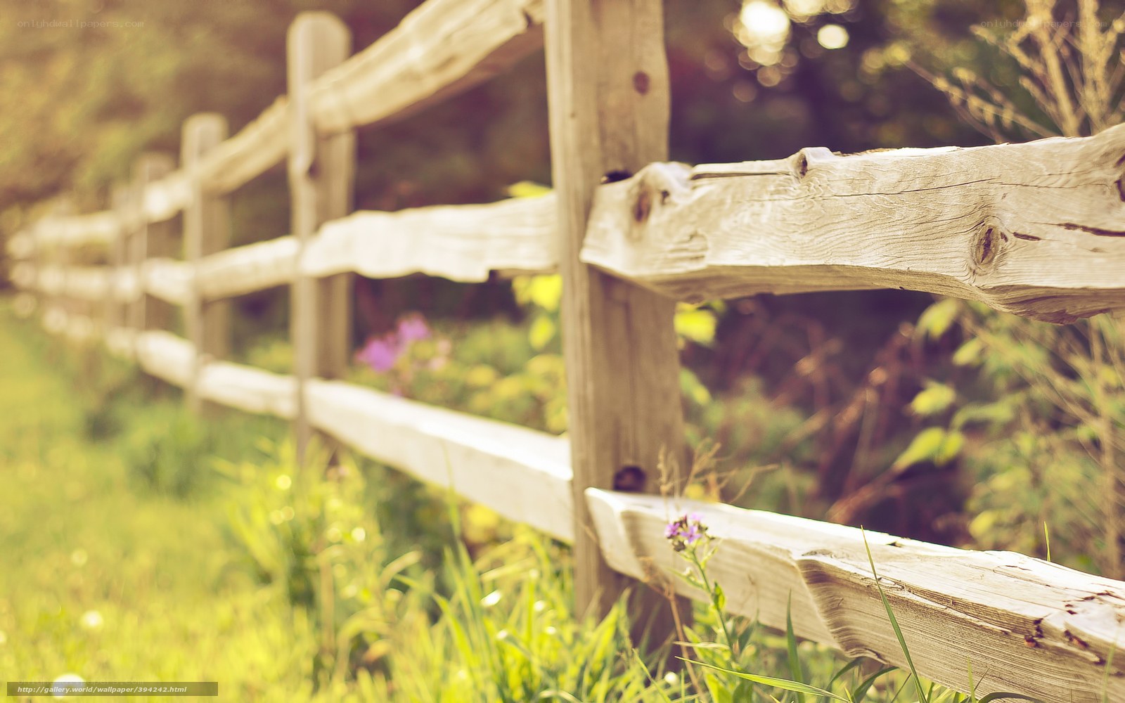 Wooden fence in a sunny field