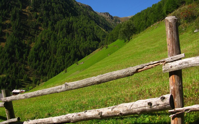 Wooden Fence in Alpine Valley