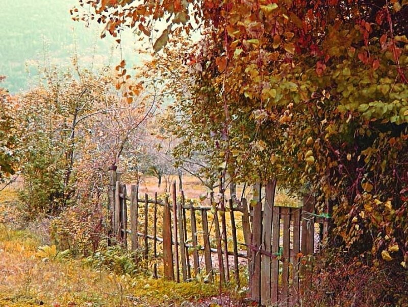 Wooden Fence in Autumn — Brown