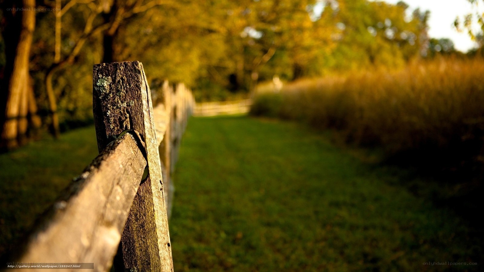 Wooden fence in autumn landscape