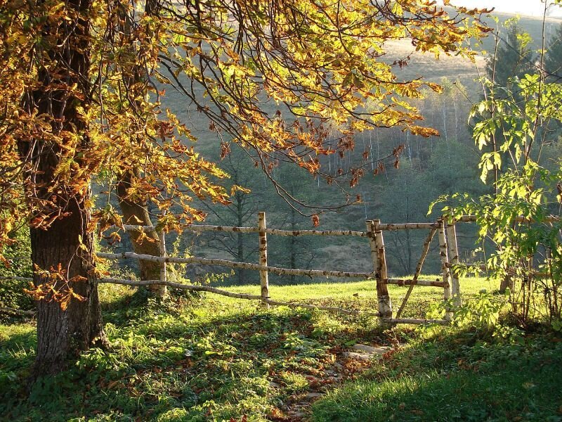 Wooden Fence in Autumn