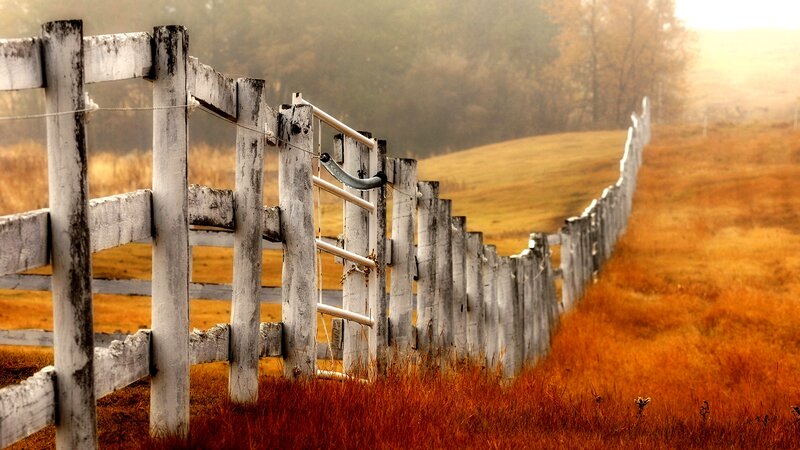 Wooden Fence in Field — Brown, Serene, Autumn