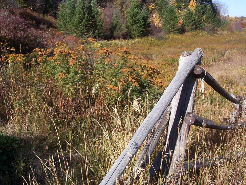 Wooden Fence in Field — Brown