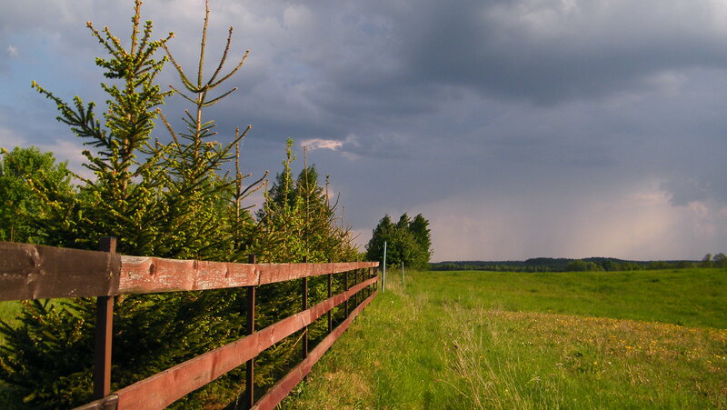 Wooden Fence in Field — Green, Dramatic, Afternoon