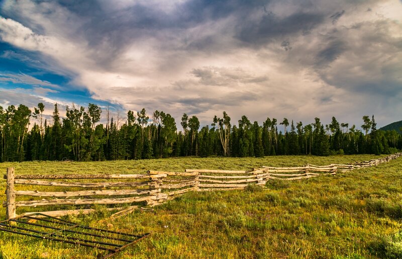 Wooden Fence in Field — Green, Dramatic, Sunset, Photograph, Trees