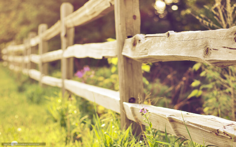 Wooden Fence in Field — Green, Serene, Afternoon, Photograph, Grass, Flowers, Trees, Brown