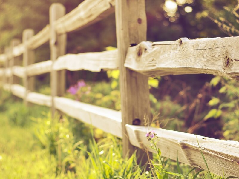 Wooden Fence in Field — Green, Serene, Afternoon, Photograph, Grass