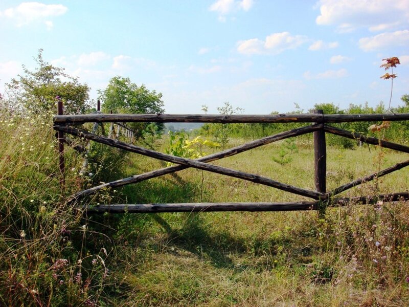 Wooden Fence in Field — Green, Serene, Afternoon