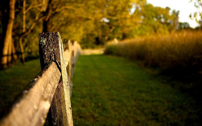 Wooden Fence in Field — Green, Serene, Autumn