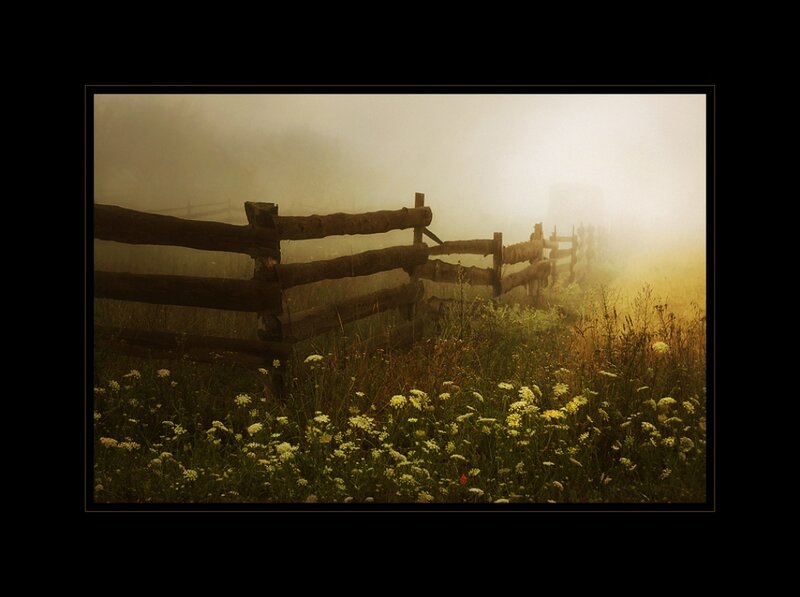Wooden Fence in Field — Green, Serene, Morning