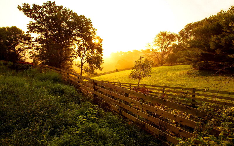 Wooden Fence in Field — Green, Serene, Sunrise