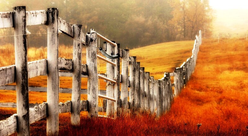 Wooden Fence in Field — Orange