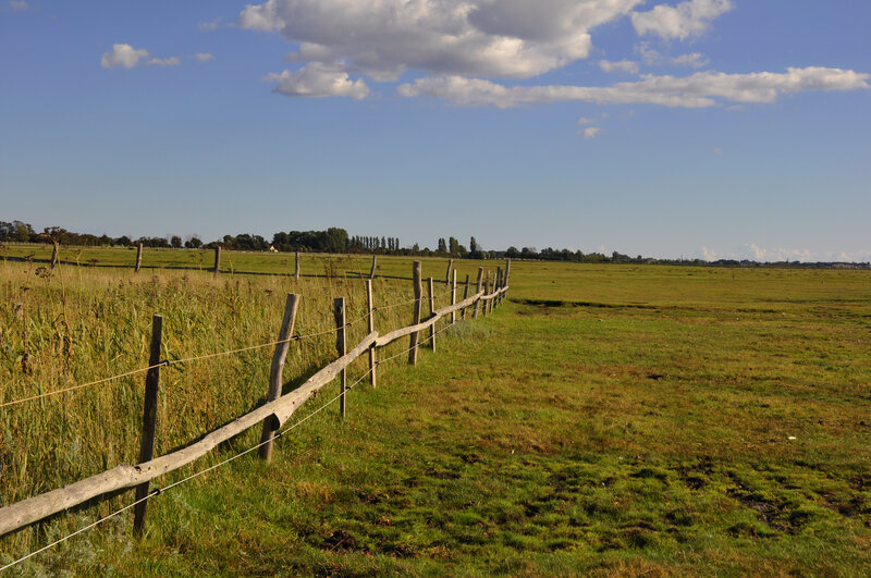 Wooden Fence in Field