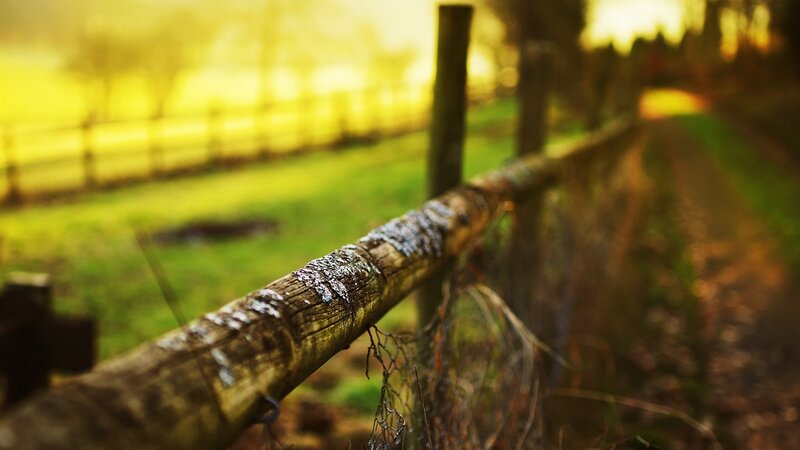 Wooden Fence in Field — Yellow