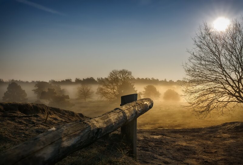 Wooden Fence in Fog — Blue, Serene