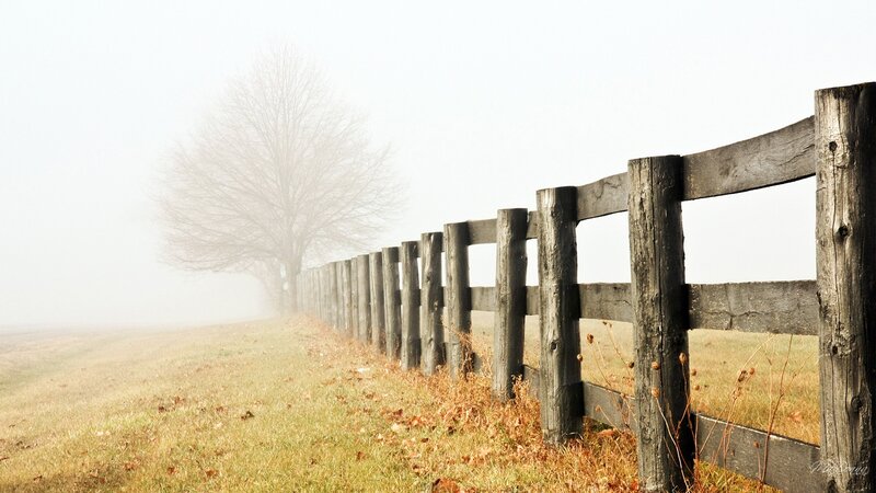 Wooden Fence in Fog — Brown, Misty