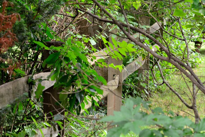 Wooden Fence in Foliage
