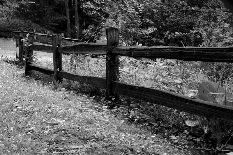 Wooden Fence in Forest — Black