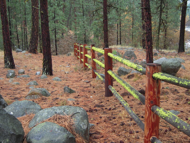 Wooden Fence in Forest — Brown, Serene