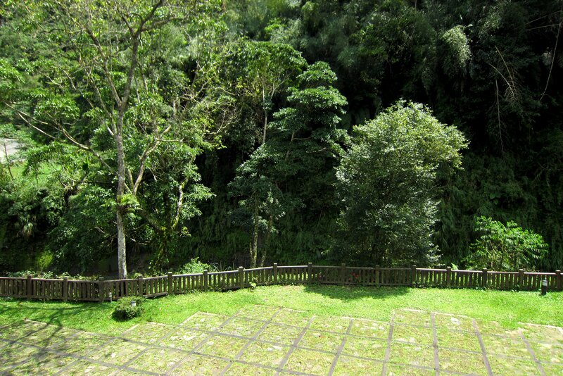 Wooden Fence in Forest — Green, Serene, Afternoon