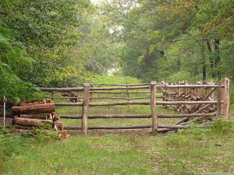Wooden Fence in Forest — Green